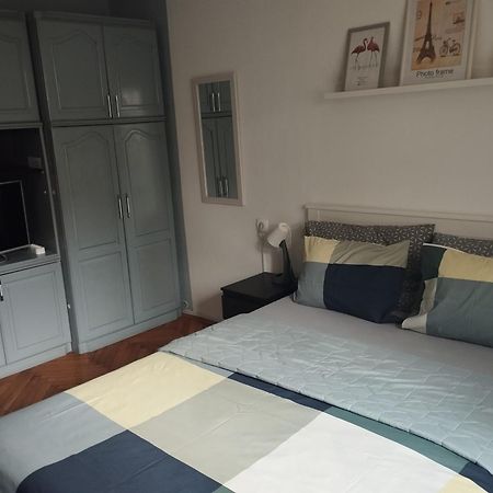 Apartmani Biljana Lazic Vrnjačka Banja Zewnętrze zdjęcie