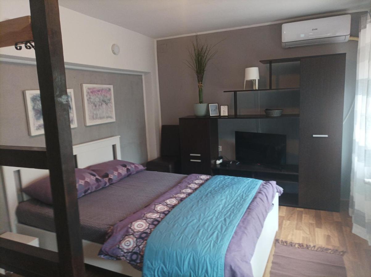 Apartmani Biljana Lazic Vrnjačka Banja Zewnętrze zdjęcie