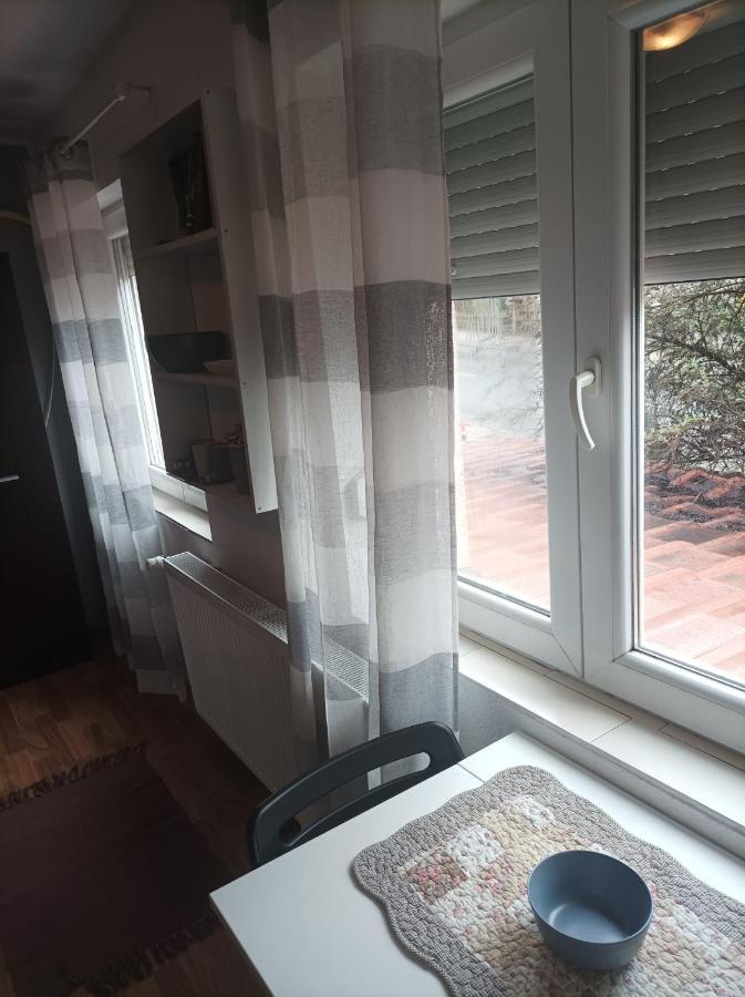 Apartmani Biljana Lazic Vrnjačka Banja Zewnętrze zdjęcie