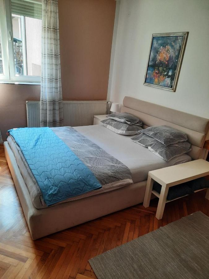 Apartmani Biljana Lazic Vrnjačka Banja Zewnętrze zdjęcie
