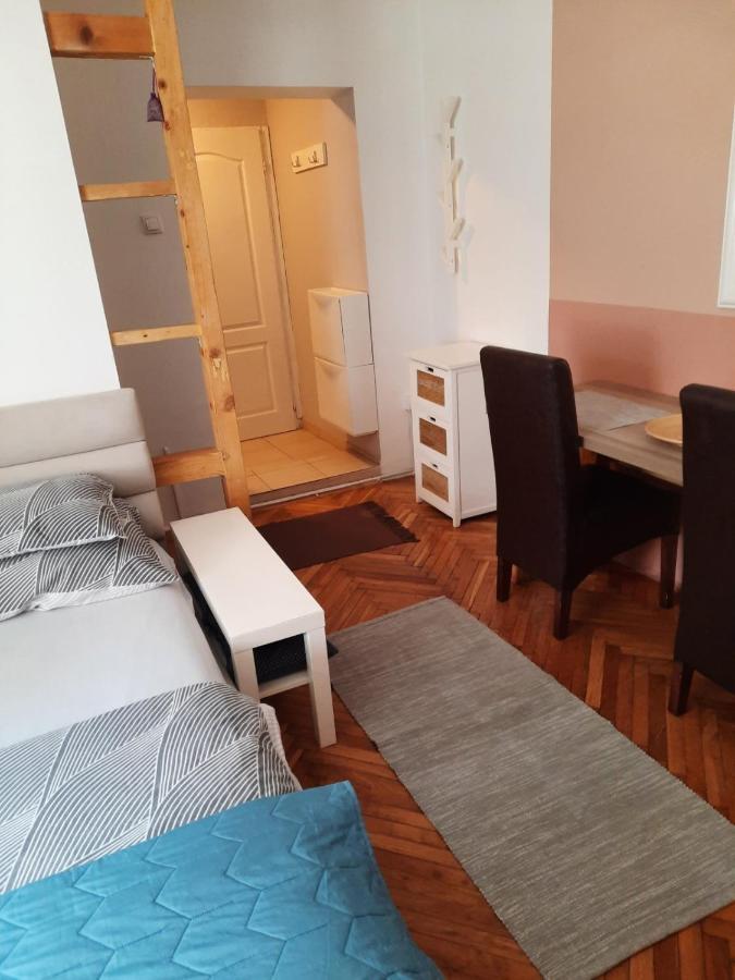 Apartmani Biljana Lazic Vrnjačka Banja Zewnętrze zdjęcie