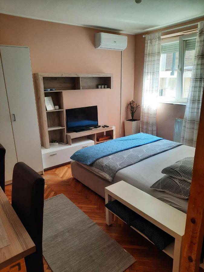 Apartmani Biljana Lazic Vrnjačka Banja Zewnętrze zdjęcie