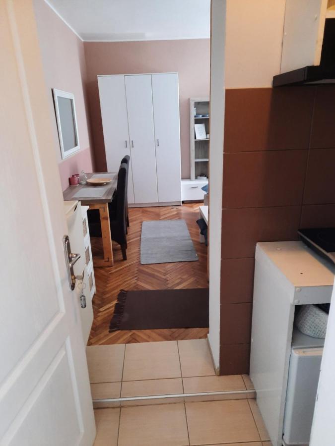 Apartmani Biljana Lazic Vrnjačka Banja Zewnętrze zdjęcie