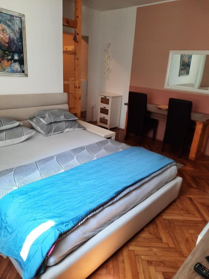 Apartmani Biljana Lazic Vrnjačka Banja Zewnętrze zdjęcie