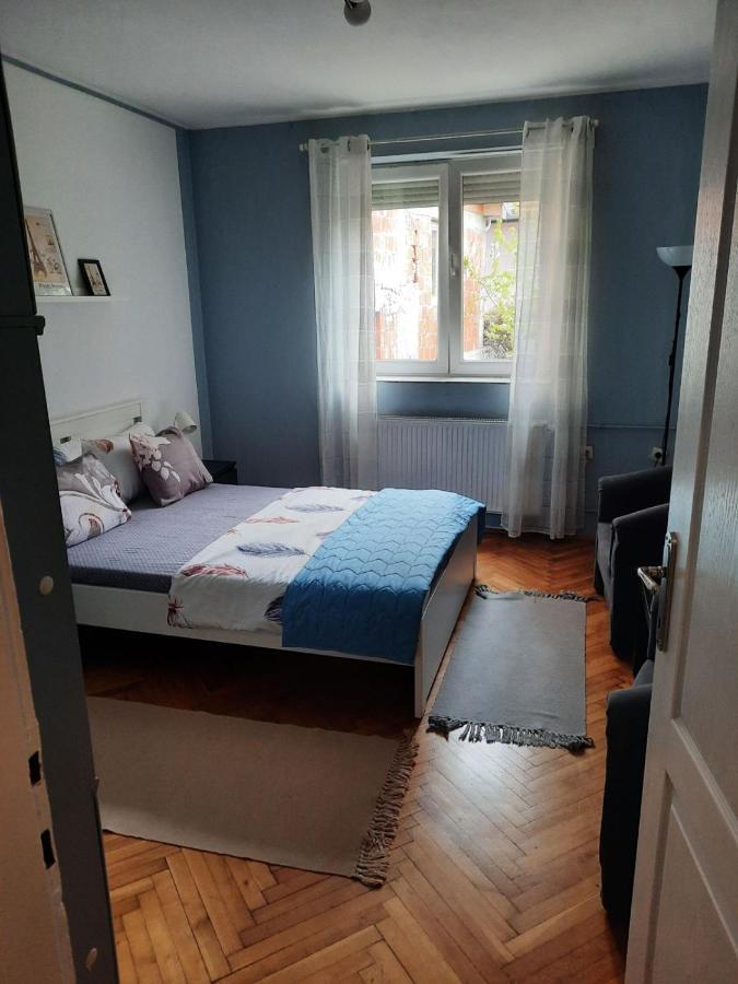 Apartmani Biljana Lazic Vrnjačka Banja Zewnętrze zdjęcie