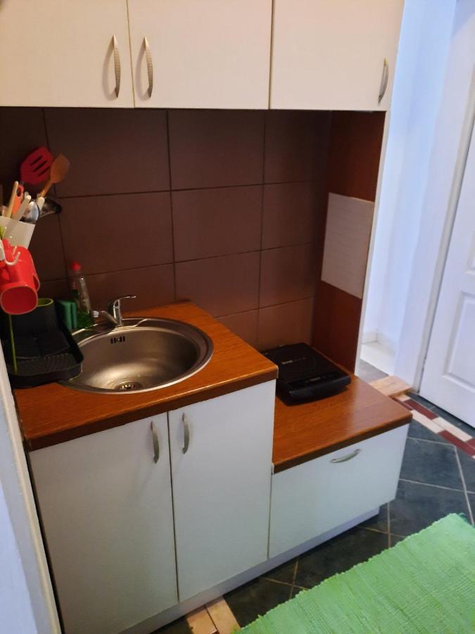 Apartmani Biljana Lazic Vrnjačka Banja Zewnętrze zdjęcie