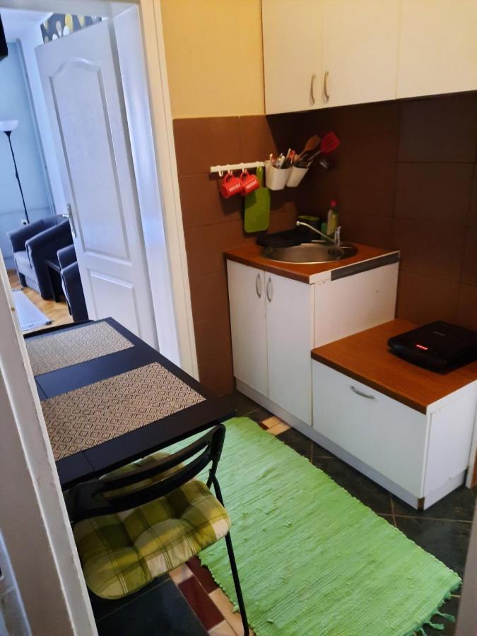 Apartmani Biljana Lazic Vrnjačka Banja Zewnętrze zdjęcie