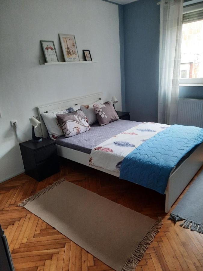 Apartmani Biljana Lazic Vrnjačka Banja Zewnętrze zdjęcie