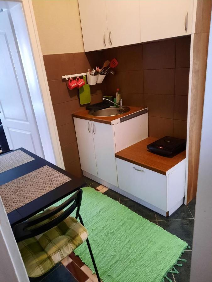 Apartmani Biljana Lazic Vrnjačka Banja Zewnętrze zdjęcie