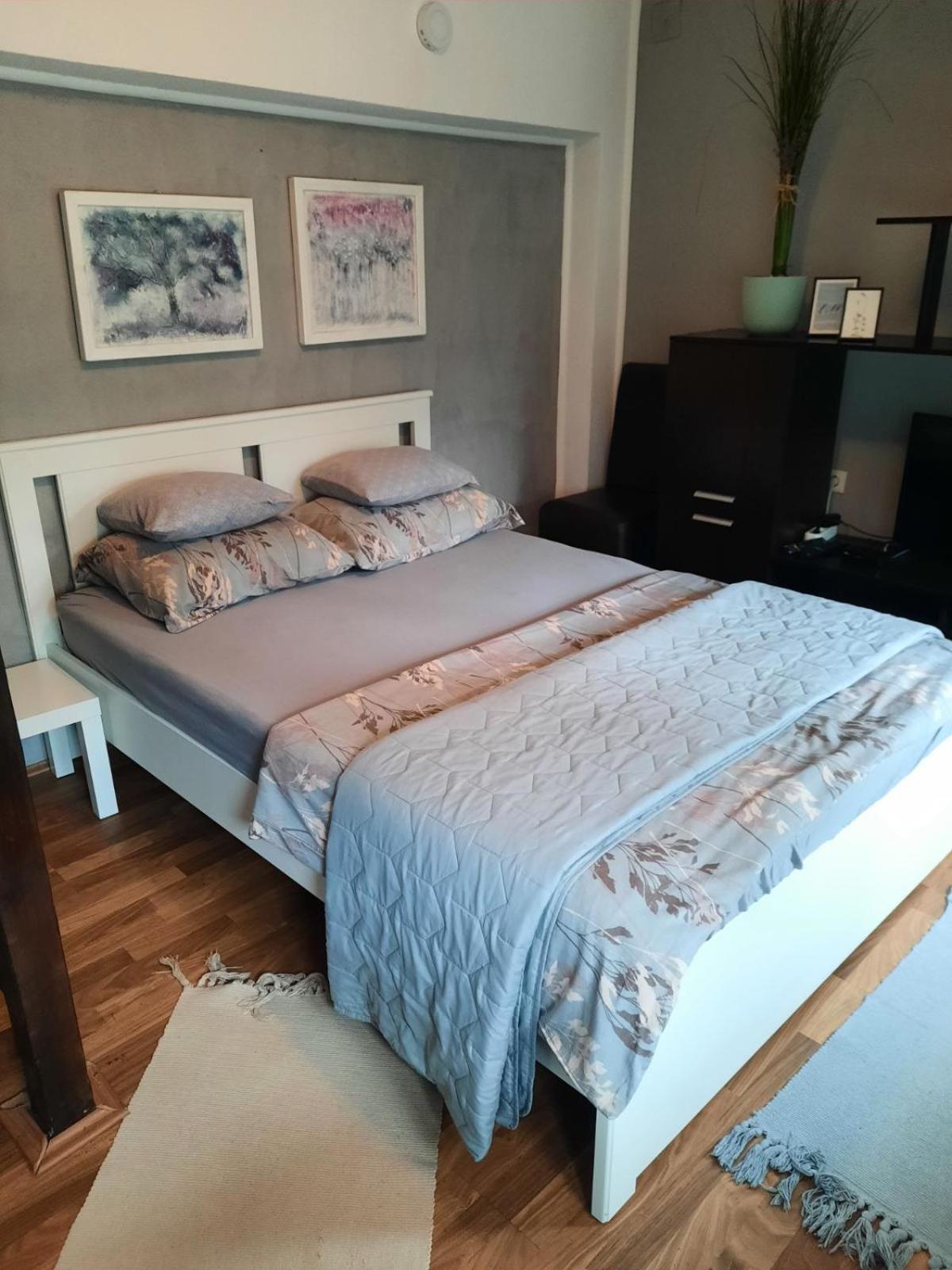 Apartmani Biljana Lazic Vrnjačka Banja Zewnętrze zdjęcie